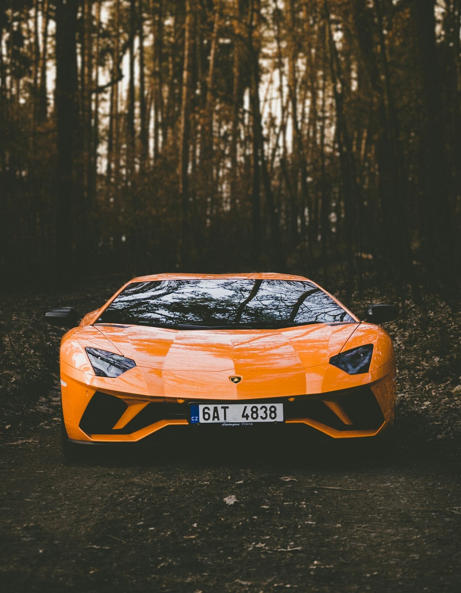 Orange Lamborghini Aventador S front view in the forest